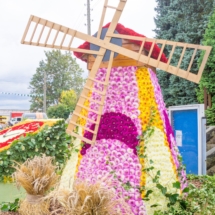 Blumenfest-813