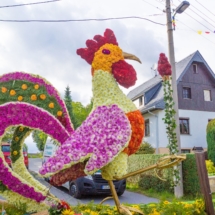 Blumenfest-862